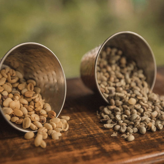 Cafe Ciro, a unique blend of premium two Arabica beans from Brazil, El Salvador, and India. Carefully roasted to draw out the full-bodied flavour of chocolate and caramel, this coffee is perfectly tempered with a controlled sweetness and acidity.