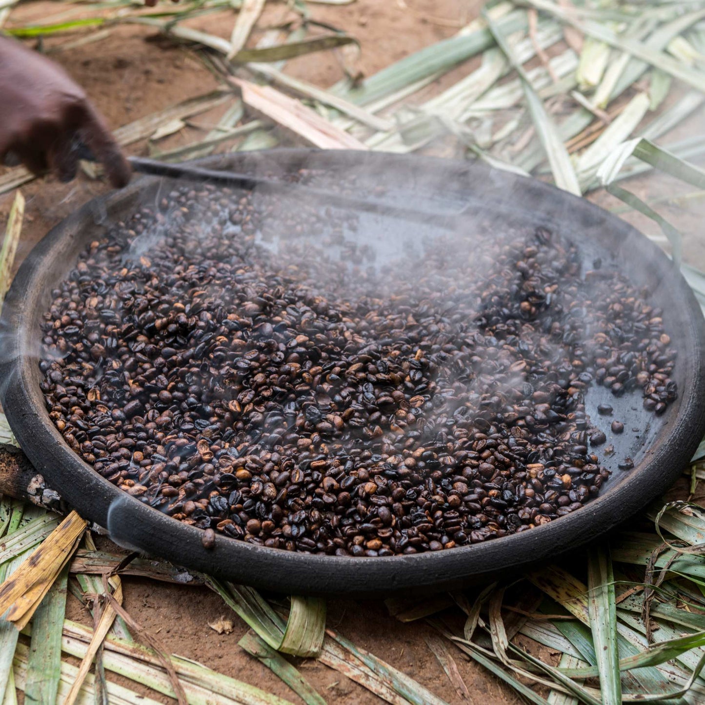 Buon Giorno Ethiopia Limu – Single Origin Ethiopian Coffee | 100% Arabica Heirloom Beans