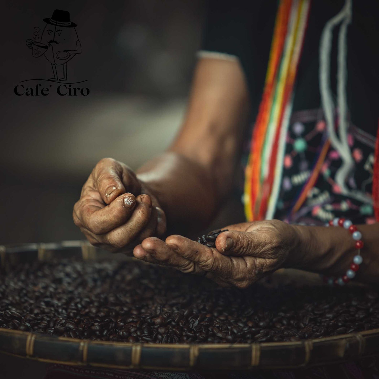Our latest addition to the coffee family is the Cafe'Ciro N2 Monsoon Malabar Made In India. This special coffee from India undergoes a unique treatment that replicates the original journeys of the beans back to Britain.