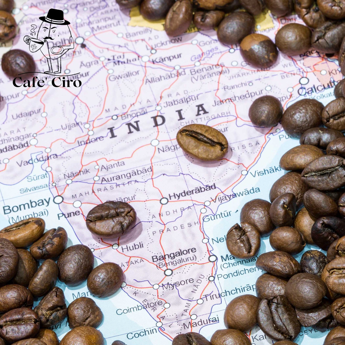 Our latest addition to the coffee family is the Cafe'Ciro N2 Monsoon Malabar Made In India. This special coffee from India undergoes a unique treatment that replicates the original journeys of the beans back to Britain.