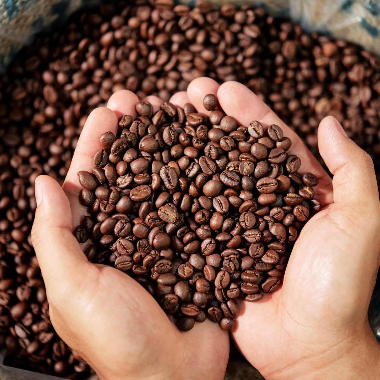 Mexico 1999 -Decaf Coffee-