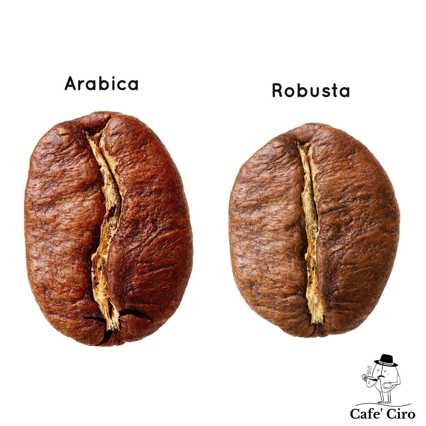 Mexico 1999 -Decaf Coffee-