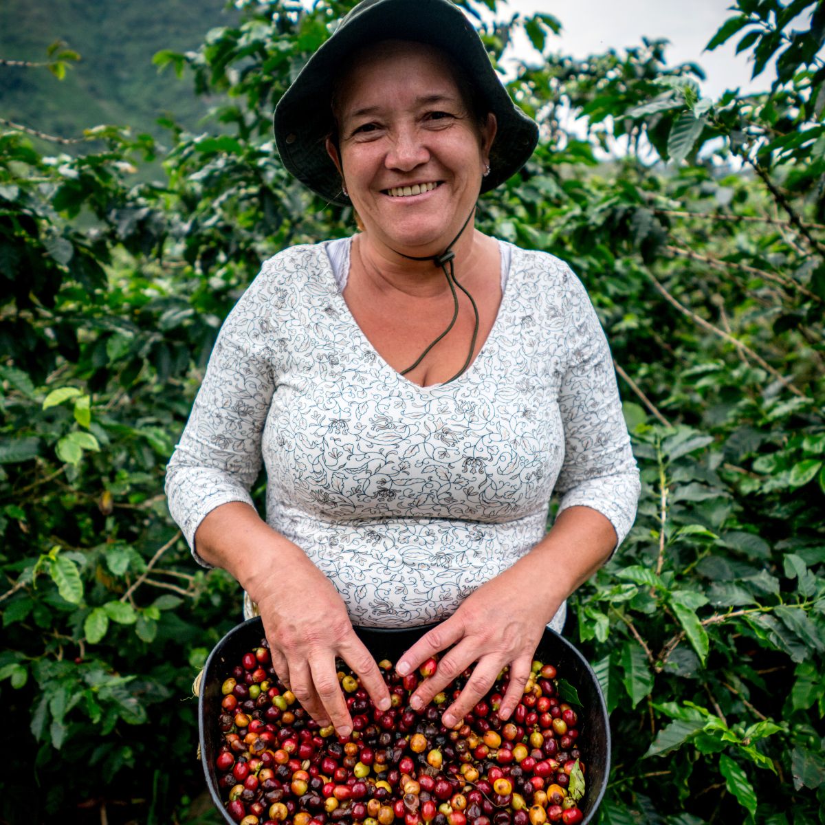 Cafe Ciro, a unique blend of premium two Arabica beans from Brazil, El Salvador, and India. Carefully roasted to draw out the full-bodied flavour of chocolate and caramel, this coffee is perfectly tempered with a controlled sweetness and acidity. 