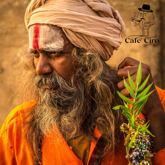 Our latest addition to the coffee family is the Cafe'Ciro N2  Monsoon Malabar Made In India.  This special coffee from India undergoes a unique treatment that replicates the original journeys of the beans back to Britain.